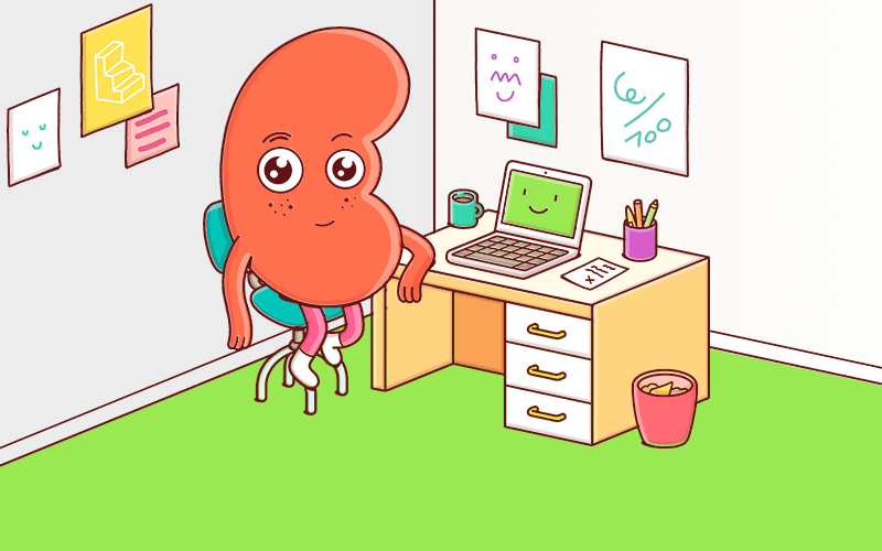 A red kidney caricature sitting at an office desk