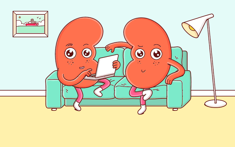 2 red kidney caricatures sitting on a sofa